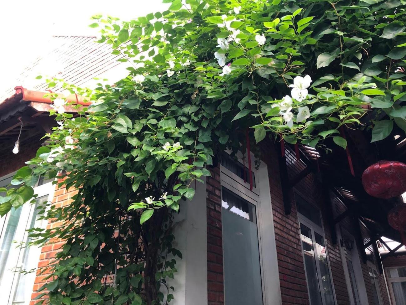 Q'Tropical Garden Homestay 후에 외부 사진